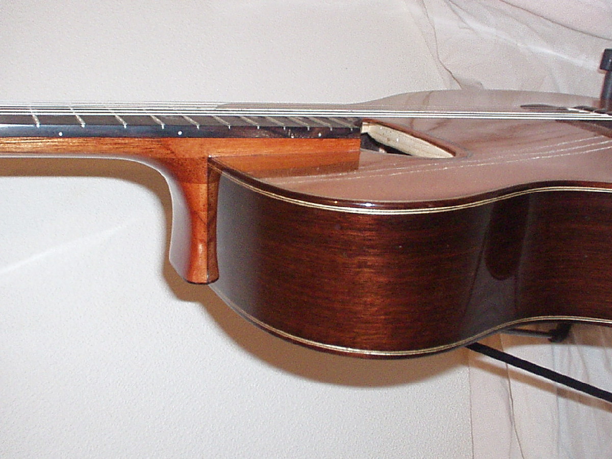 The neck angle with the raised fingeboard 